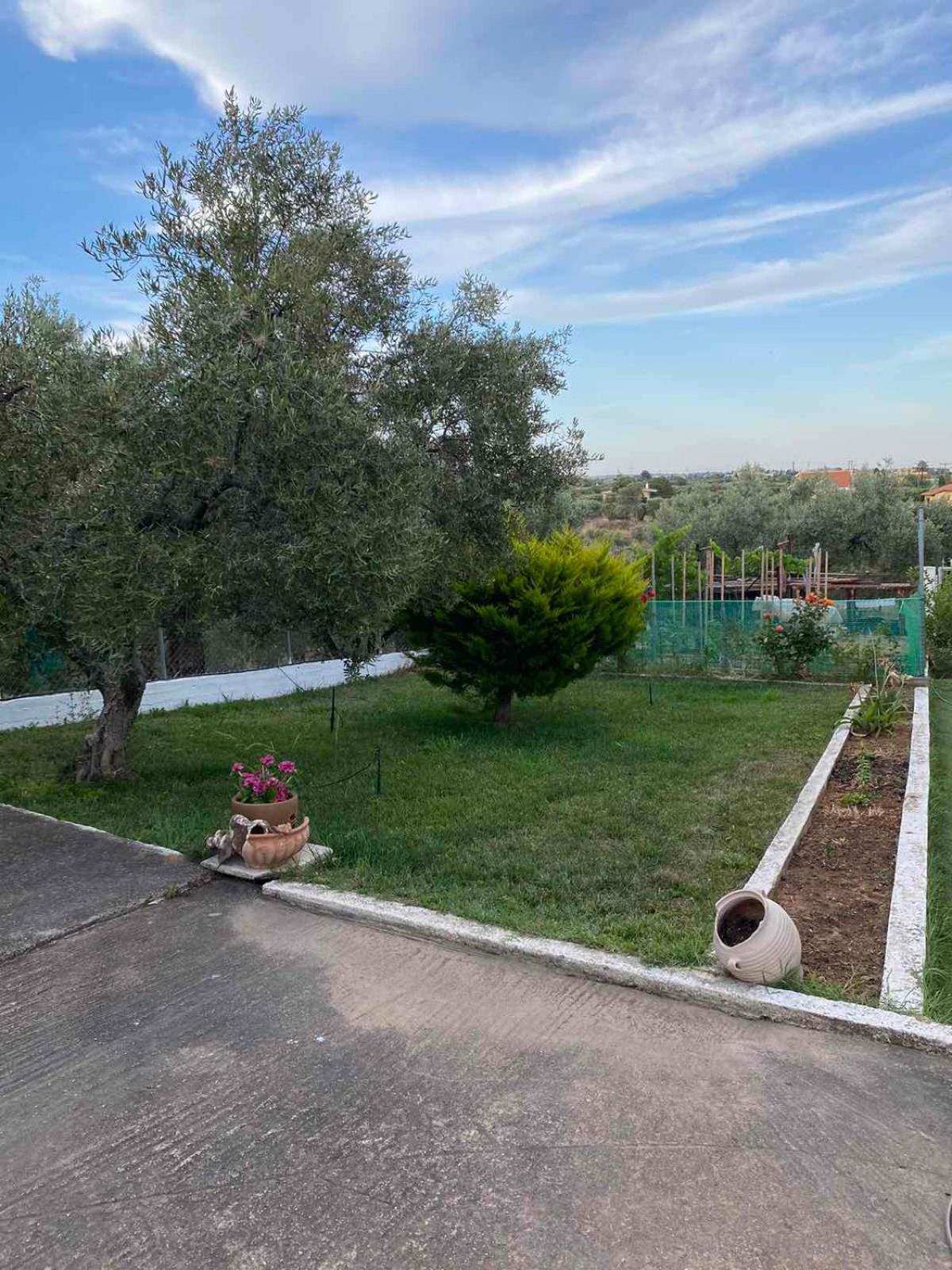 Golden House Lejlighed Alexandroupoli Eksteriør billede